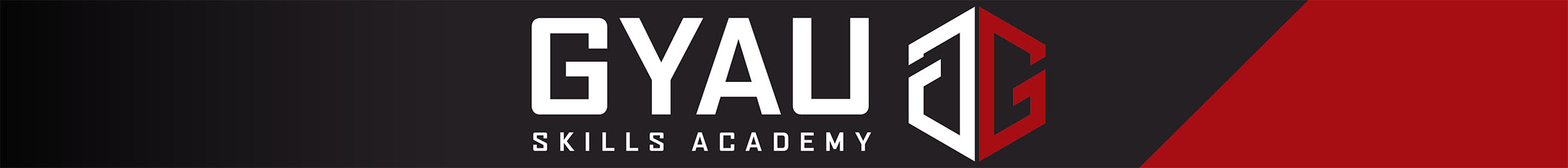 Gyau Skills Academy